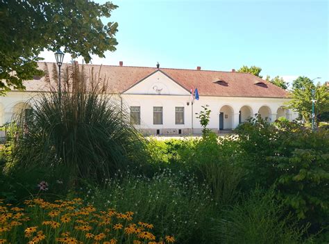 Kiskunfélegyháza térképe kiemelve a Könyök utcát