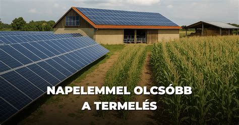 napelemes rendszer mezőgazdasági telepen