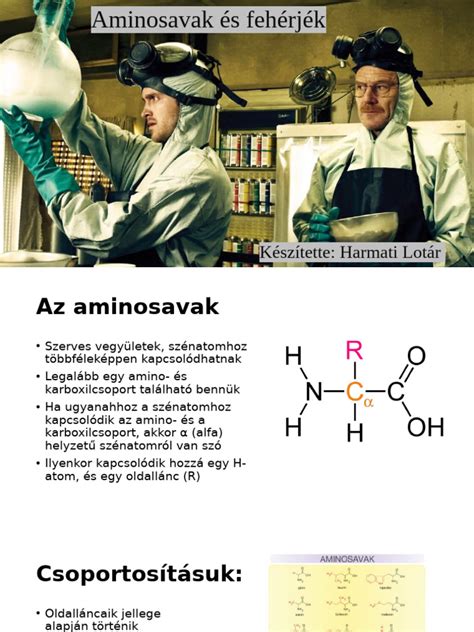 infografika a fehérjék biológiai értékéről és felszívódási idejéről