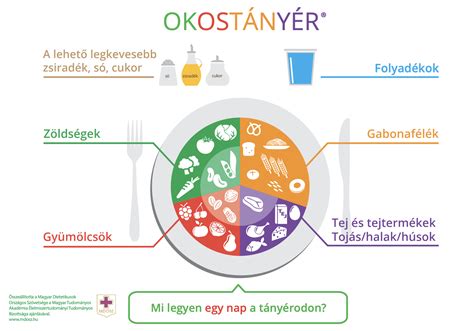 Az Okostányér illusztrációja