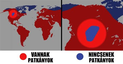 Térkép, amely bemutatja az ételek 