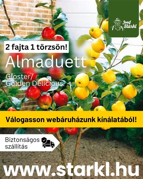 friss körték a fán