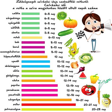 Különböző zöldségek párolási ideje diagram