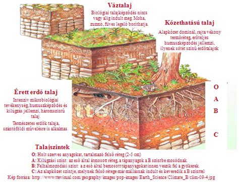A talaj szerkezete és a paprika gyökérzete