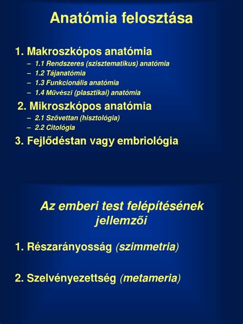 A sertés anatómiai felosztása (kiemelve a csülök)