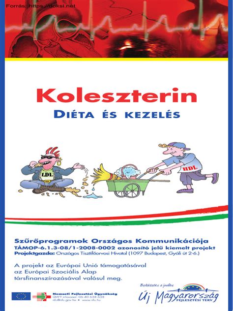 Koleszterin típusok és hatásaik