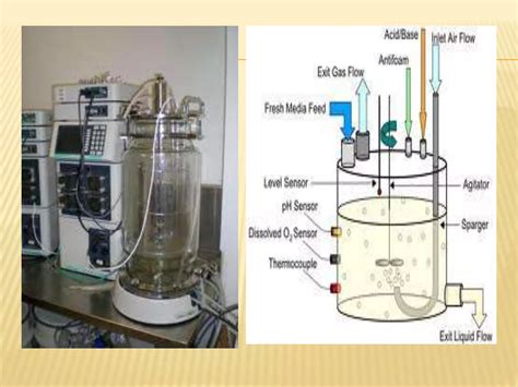 Ipari fermentor sematikus rajza