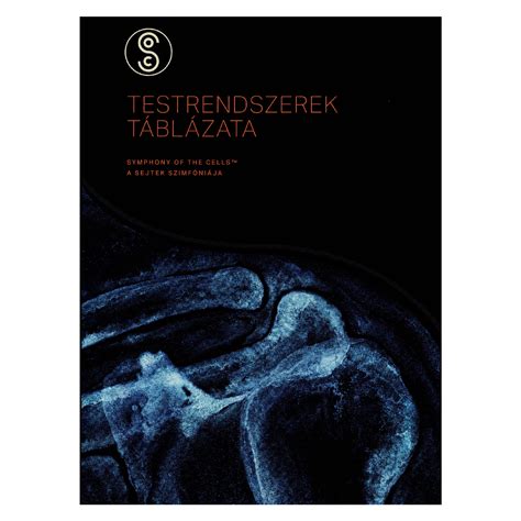 A fehérjebeviteli ajánlások táblázata különböző élethelyzetekre