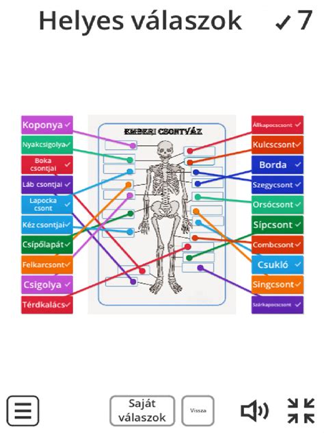 Diagram az emberi anyagcsere folyamatairól