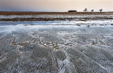 szikes puszta