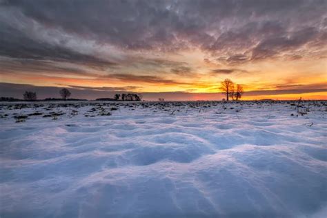 Téli póréhagyma mező